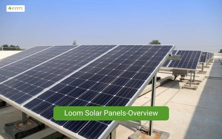 Loom Solar Panels-Overview