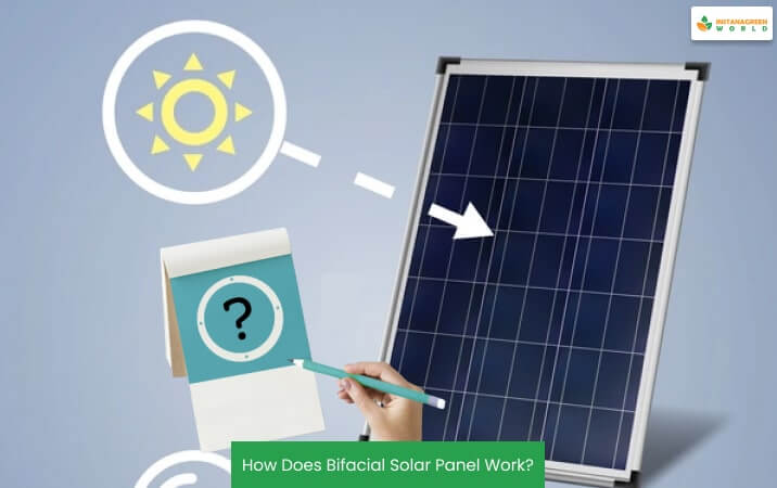 How Does Bifacial Solar Panel Work?