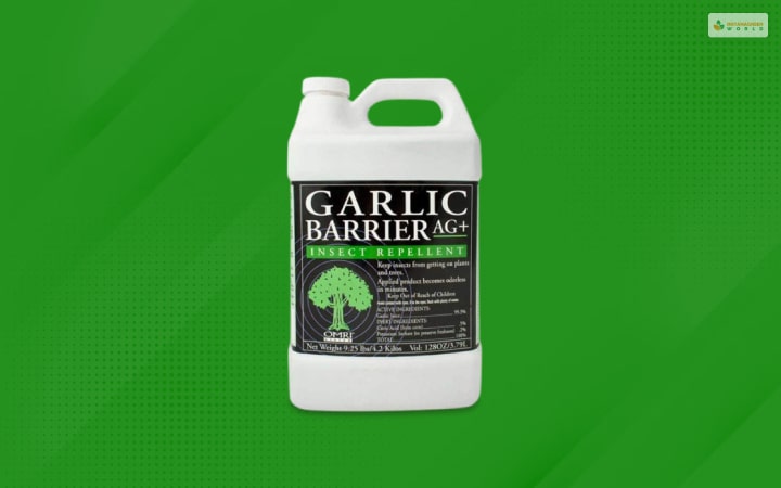 Garlic spray