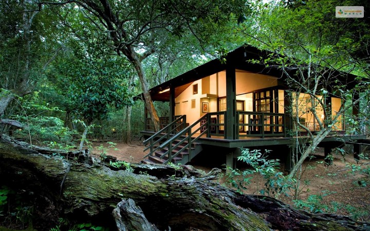 Phinda Forest Lodge (South Africa)