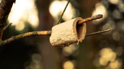 bamboo toilet paper