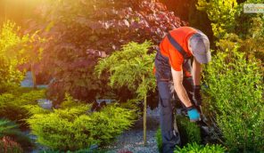 How To Start A Business As A Landscaper