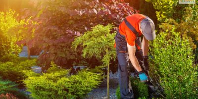 How To Start A Business As A Landscaper