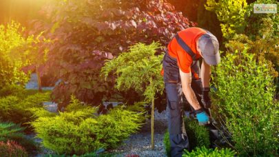 How To Start A Business As A Landscaper