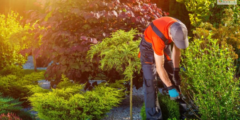 How To Start A Business As A Landscaper