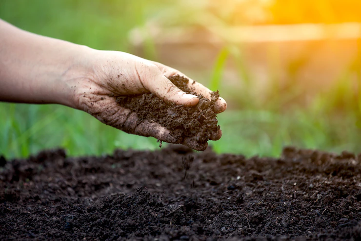 Starting Composting reason