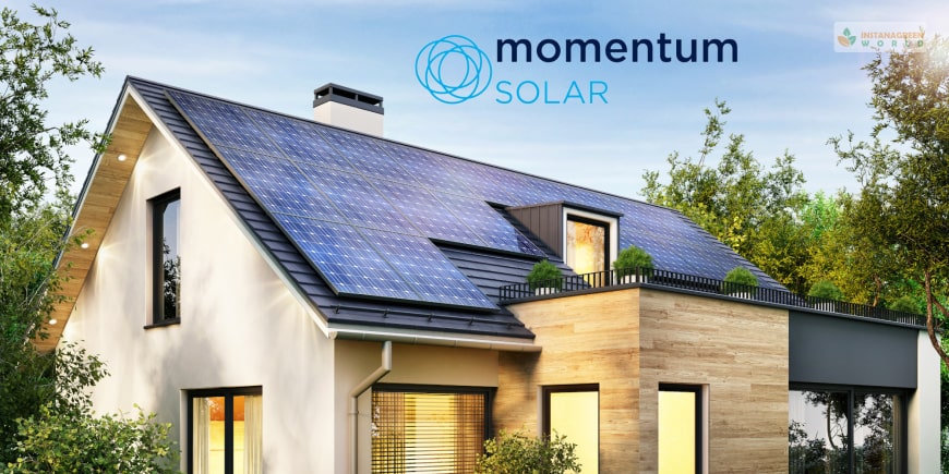 Momentum Solar Review User Review, Rating, Price