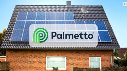 Palmetto Solar Review User Reviews, Ratings, & Price