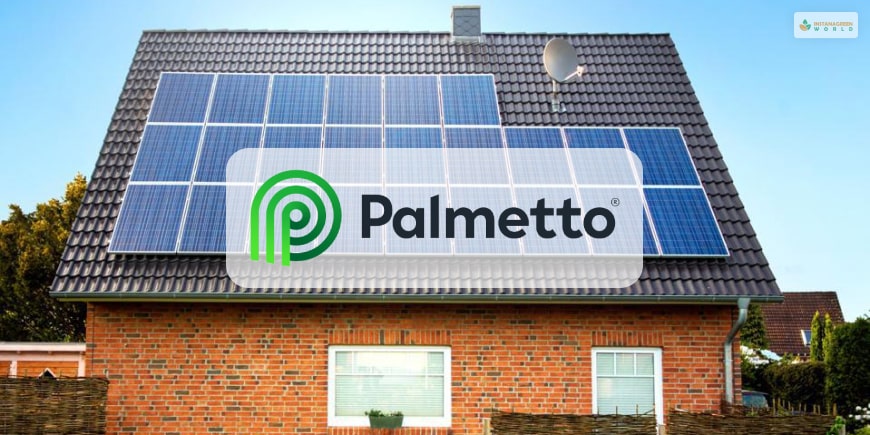 Palmetto Solar Review User Reviews, Ratings, & Price