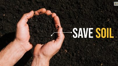 Save Soil