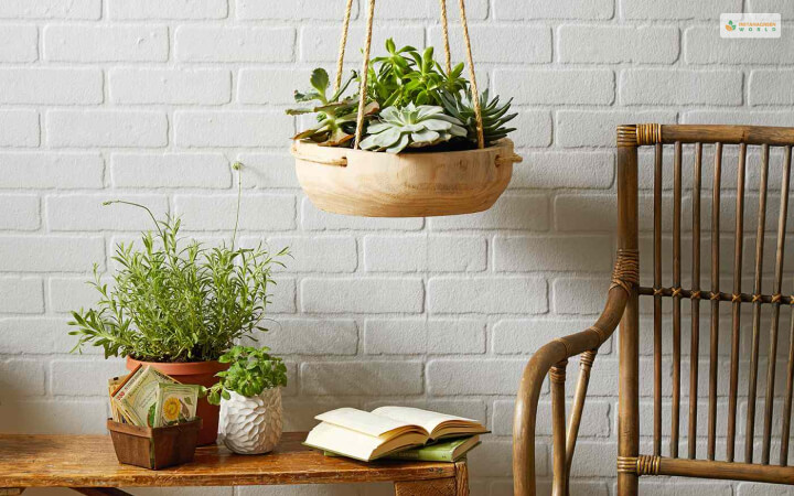 Wooden Bowl Hanging Plant Stand