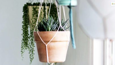 hanging plant stand