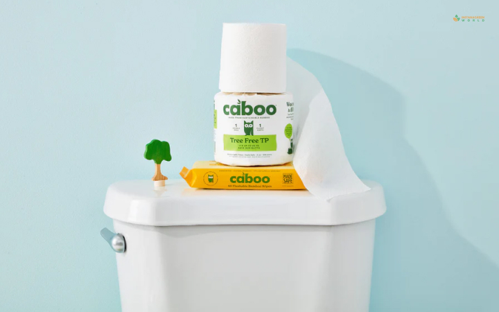 Caboo Tree Free Bamboo Toilet Papers
