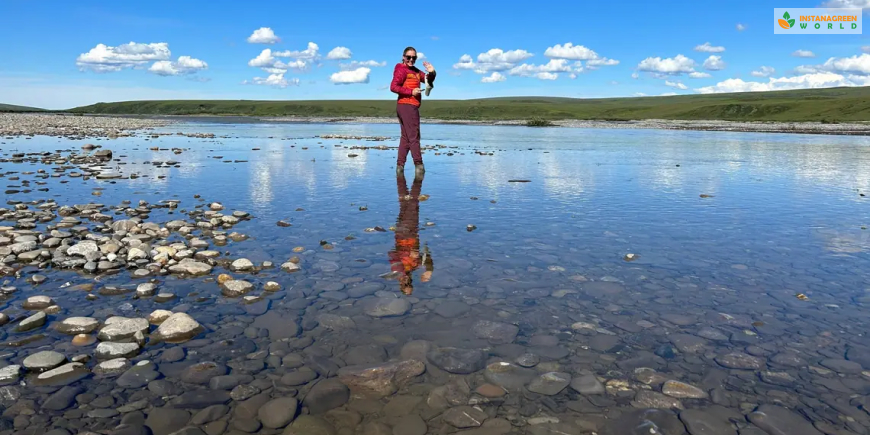 Arctic Seafloor Permafrost