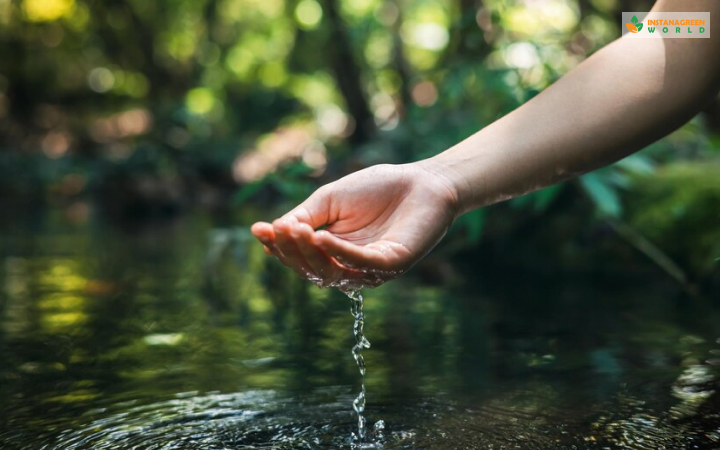 Understanding The Clean Water Act