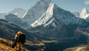 Himalayas