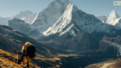 Himalayas