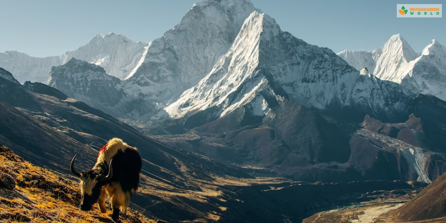 Himalayas