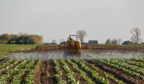 sustainable agriculture