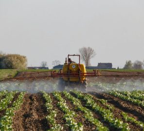 sustainable agriculture