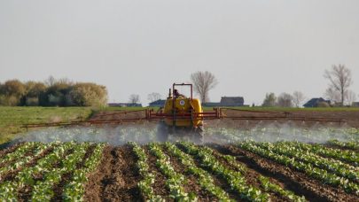 sustainable agriculture