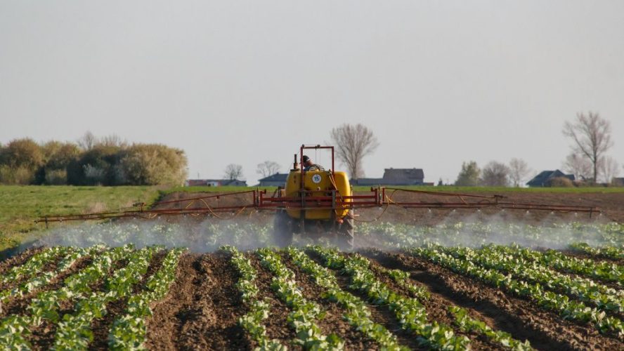 sustainable agriculture