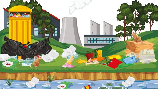 PFAS Review